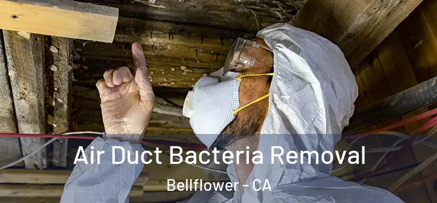 Air Duct Bacteria Removal Bellflower - CA