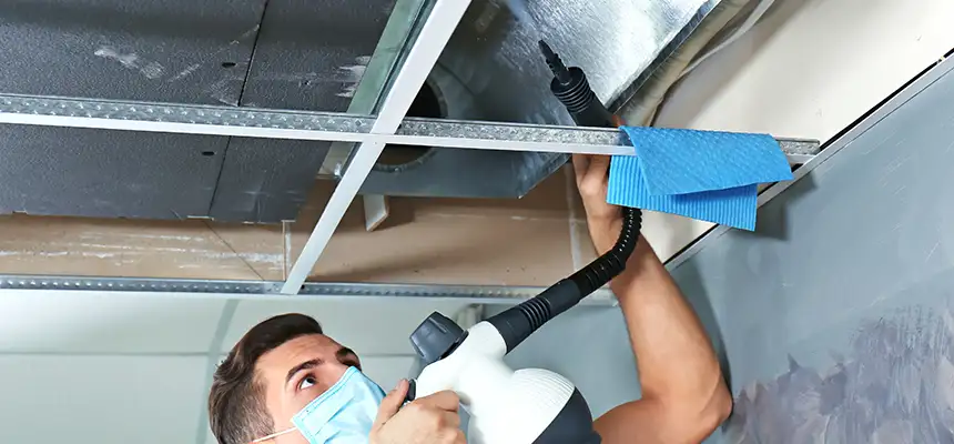 Our Air Duct Rodent Removal Services in Bellflower, CA