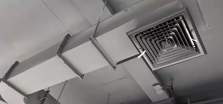 Restorative Allergy Relief Vent Cleaning – Coil, Blower & Housing Detail in Bellflower