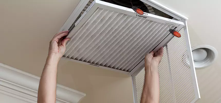 Our Insect Removal from Air Ducts Services in Bellflower, CA