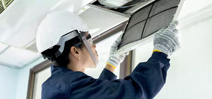 Our Mold & Mildew Removal from Air Ducts Services in Bellflower, CA