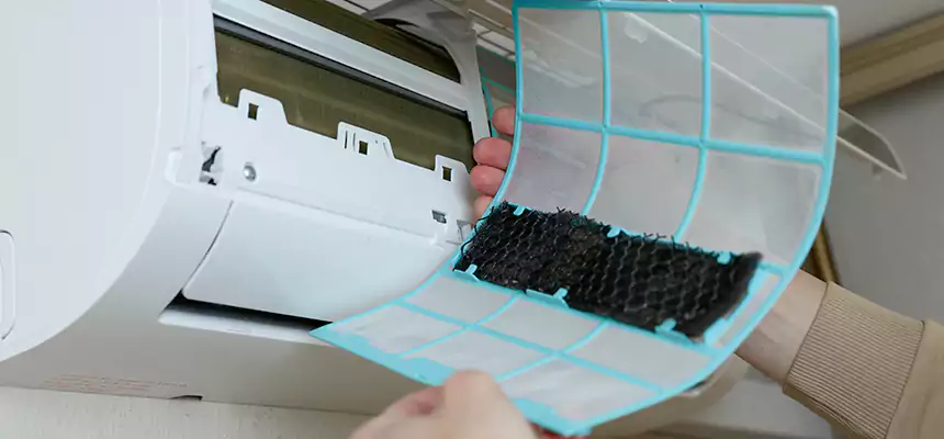 Gentle Ductwork Odor-Control Pet Dander Duct Cleaning in Bellflower, CA