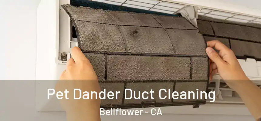 Pet Dander Duct Cleaning Bellflower - CA
