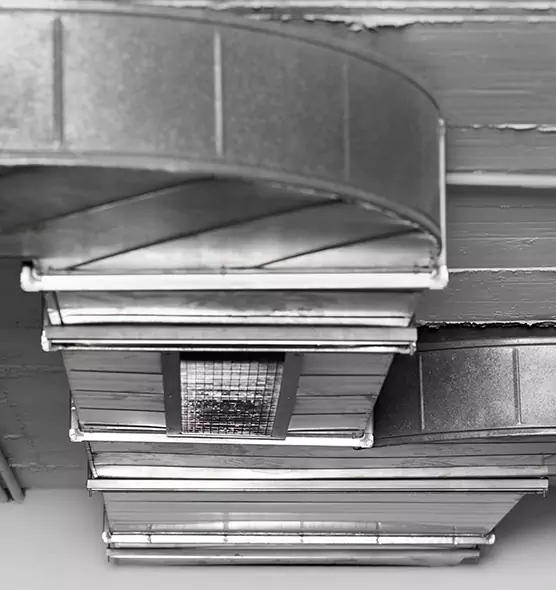 Professional Air Duct Pest Removal in Bellflower, CA