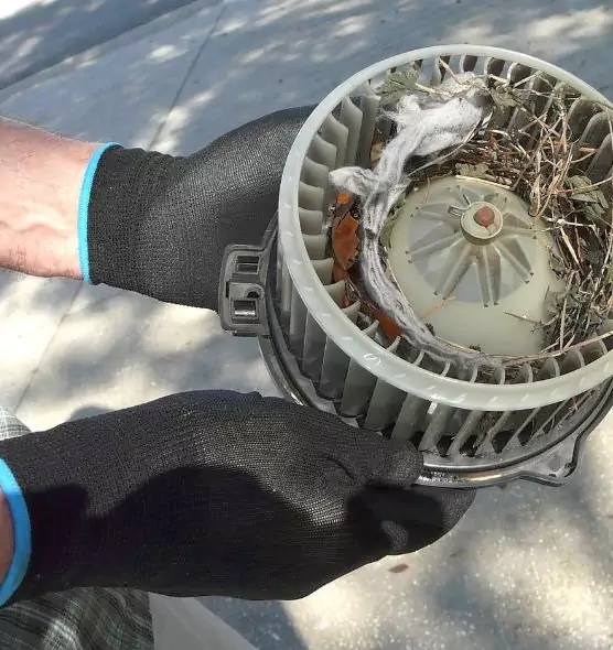 About Air Duct Rat Removal in Bellflower, CA