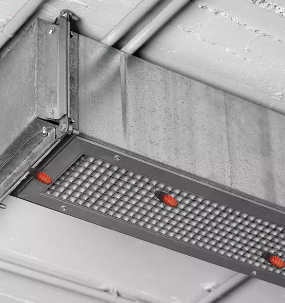 Affordable Insect Removal from Air Ducts in Bellflower, CA