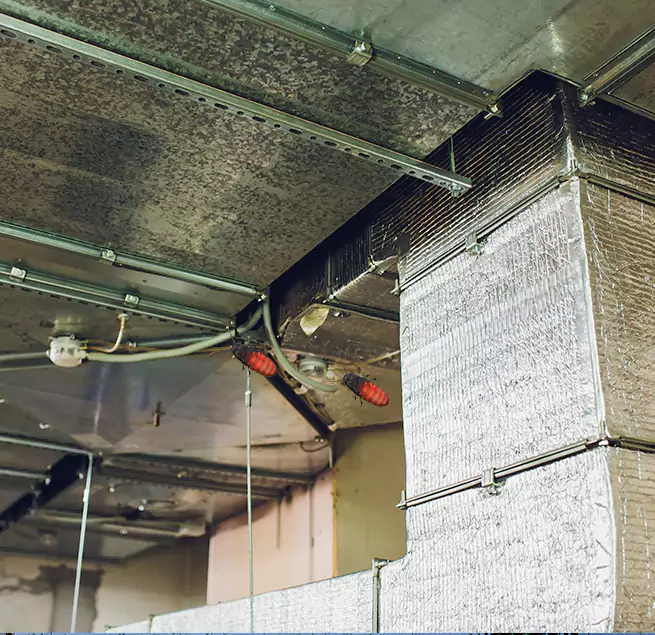 Why Homeowners & Businesses Trust Us in Bellflower, CA?