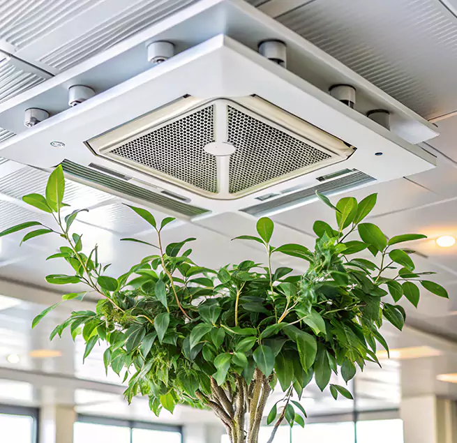 Why Homeowners & Businesses Trust Us in Bellflower, CA?