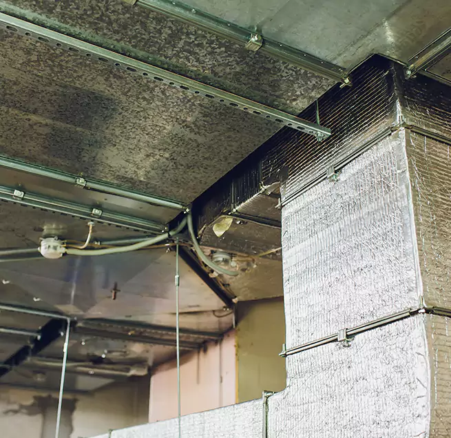 Why Homeowners & Businesses Trust Us in Bellflower, CA?