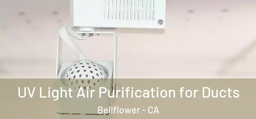 UV Light Air Purification for Ducts Bellflower - CA